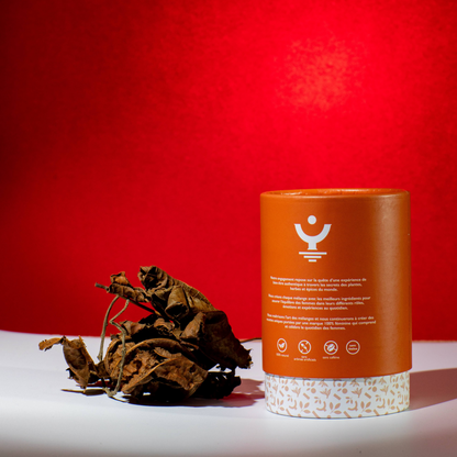 Tisane Froid / Immunité